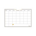 AT-A-GLANCE WallMates Dry-Erase Paint Planning Board, 12H x 18W (AW4020)