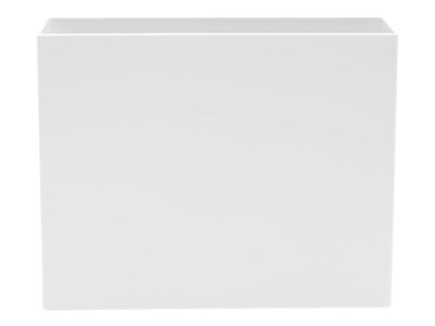 Poppin Plastic File Box, Letter Size, White (101272)