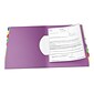 Pendaflex PileSmart Project Sorters, Letter Size, 10-Tab, Multicolor (PFX 50995)