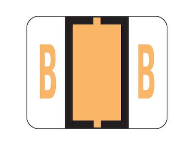 Smead BCCR Color Coded Alphabetic Labels, B, Light Orange, 500/Roll (67072)