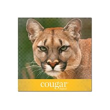 Domtar Cougar Digital 10% Recycled 8.5 x 11 Laser Paper, 70 lbs., 98 Brightness, 500/Ream (2826)