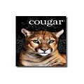 Domtar Cougar Digital 10% Recycled 8.5 x 11 Business Paper, 70 lbs., 98 Brightness, 4000/Carton (2