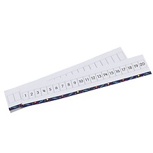 Didax Write-On/Wipe-Off 1-20 Number Path, Pack of 10 (DD-211774)