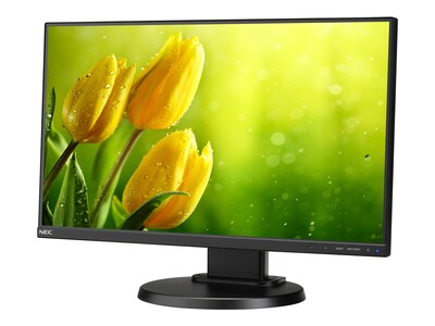 NEC MultiSync Full HD Widescreen w/LED LCD Desktop Monitor, 22, Black (E221N-BK)
