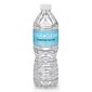 True Clear™ Purified Bottled Water, 16.9 fl oz Bottles, 24/Carton, 84 Cartons/Pallet (TC54594PL)