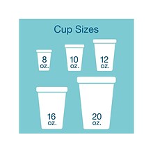 Dart Cold Cups, 16 Oz., White, 500/Carton (16J165)