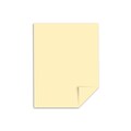 Exact Index 110 lb. Cardstock Paper, 8.5 x 11, Ivory, 250 Sheets/Pack (49581)