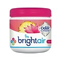 Bright Air Super Odor Eliminator Solid Air Freshener, Island Nectar & Pineapple (900114)