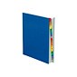 Pendaflex Expanding Pressguard Desk File, Blue (PFX 11015)