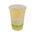 Eco-Products GreenStripe Cold Cups, 16 Oz., Transparent/Green, 50/Pack (EP-CC16-GS)