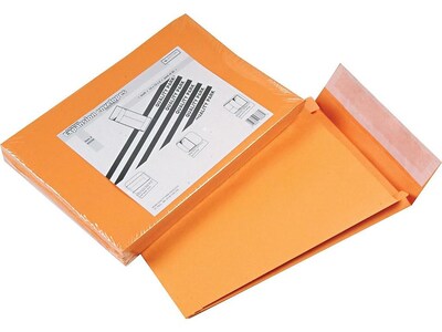Quality Park Self Seal Catalog Envelopes, 10"L x 13"H, Brown, 25/Pack (QUA93336)
