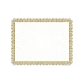 Masterpiece Studios Value Certificates, 8.5 x 11, Metallic Gold, 100/Pack (961035S)