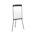 Quartet Magnetic Easel, 70, Graphite Metal (67E)