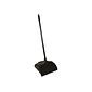 Rubbermaid Executive Lobby Pro Dustpan (FG253100BLA)