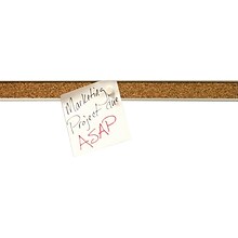 Advantus Grip-A-Strip Cork Map Rail, Satin Frame, 0.08 x 8 (2026)