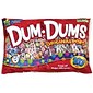 Dum Dums Lollipops, Assorted Flavors, 61 oz., (220-00055)