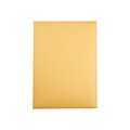 Quality Park ClearClasp Redi-Tac Catalog Envelopes, 6 x 9, Brown Kraft, 100/Box (QUA43468)