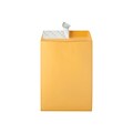 Quality Park Redi-Strip Catalog Envelopes, 9 x 12, Brown Kraft, 100/Box (QUA44562)