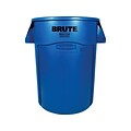 Rubbermaid Brute Outdoor Trash Can, Blue Resin, 44 Gal. (FG264360BLUE)