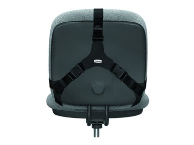 Fellowes Professional Back Support, Black (8037601)