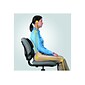 Fellowes Professional Back Support, Black (8037601)