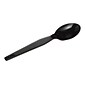 Dixie Plastic Teaspoon, Heavy-Weight, Black, 1000/Carton (TH517)