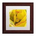 Trademark Fine Art Kurt Shaffer Inside a Beautiful Tulip 11 x 11 Matted Framed (190836001057)