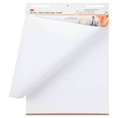 3M Flip Chart Easel Pad, 25" x 30", 40 Sheets/Pad, 2 Pads/Carton (MMM570)