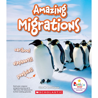 Scholastic Amazing Migrations Book, Pack of 3 (SC-ZCS670769BN)