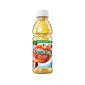 Tropicana Apple Juice, 10 oz., 24/Carton (TRO00029)