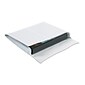 Ship-Lite Self Seal Catalog Envelopes, 10" x 13", White, 100/Carton (SLE10132WS)