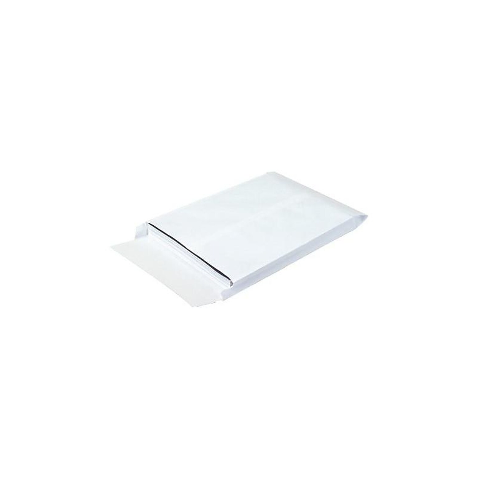 Ship-Lite Self Seal Catalog Envelopes, 10 x 13, White, 100/Carton (SLE10131WE)