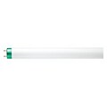 Philips Linear Fluorescent T8 Lamp, 28 Watts, Neutral White, 30/Carton (281022)