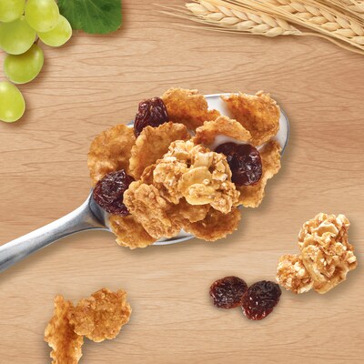 Kellogg's Raisin Bran Crunch Cereal, 2.8 oz., 6/Box (KEE3800012474)