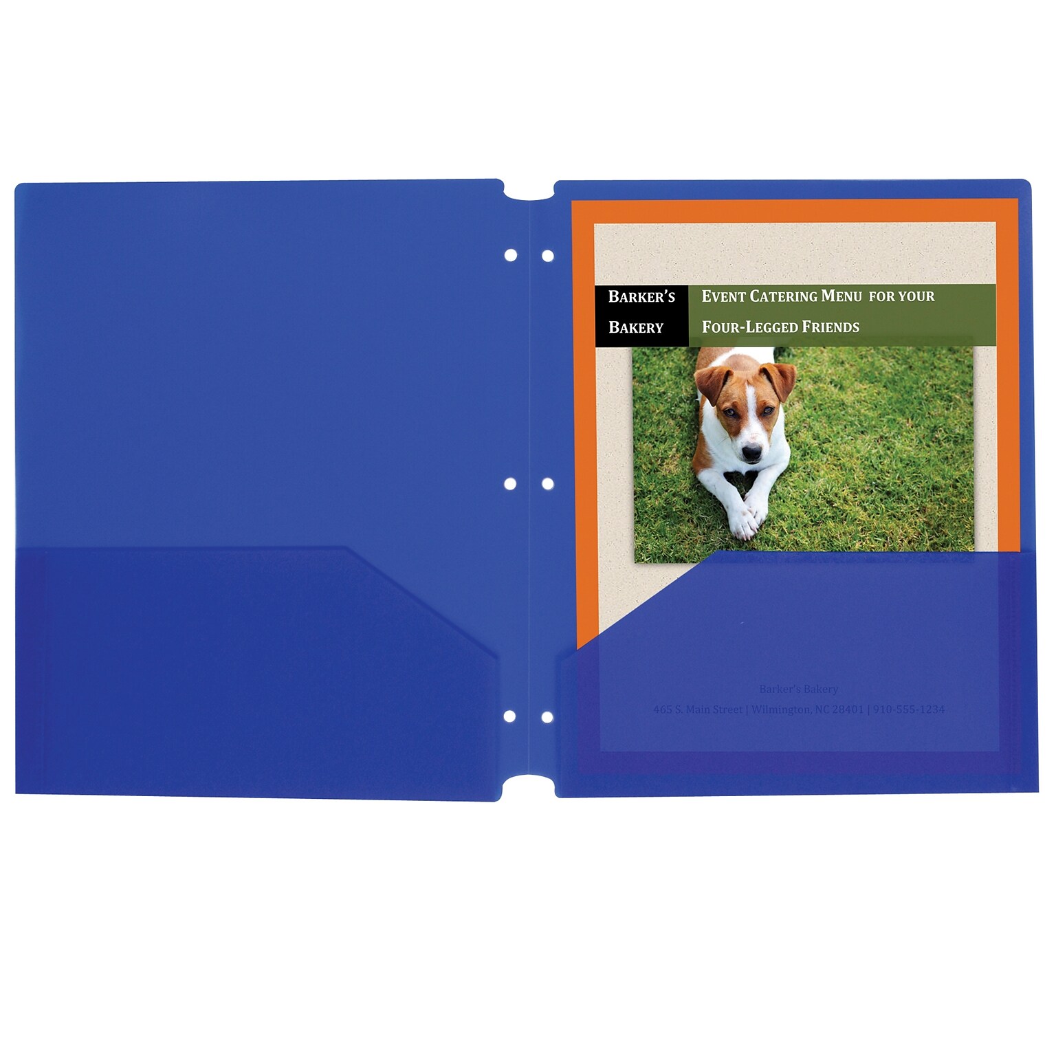 C-Line® Two-Pocket Poly Portfolios with Three-Hole Punch, Letter Size, Blue, Box of 25 (CLI32935)