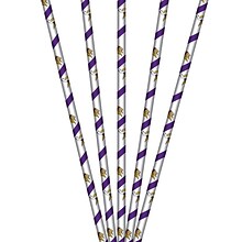 NFL Minnesota Vikings Paper Straws 24 pk (316454)