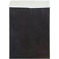 JAM Paper Open End Clasp #13 Catalog Envelope, 10 x 13, Black, 10/Pack (V021376B)
