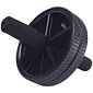 Gofit Black Deluxe Exercise Wheel (GF-DEW)