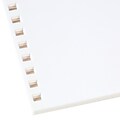 GBC 250 Sheet Pre-Punched Paper, 8 1/2 x 11 (2514479)
