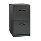 Hirsh 2-Drawer File Cabinet with Wheels and Arch Style Handle, Letter Size, Charcoal, 23"D (21118)