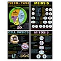 Teacher Created Resources® 17 x 22 Cells Teaching Poster Set (MC-P127)