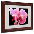 Kathie McCurdy Orchid Matted Framed Art - 11x14 Inches - Wood Frame