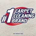 Resolve High Traffic Carpet Cleaner Foam, 22 Oz. (19200-00706)
