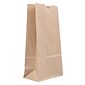 JAM Paper Kraft Lunch Bags, 8" x 4.25" x 2.25", Brown, 25/Pack (690KRBR)