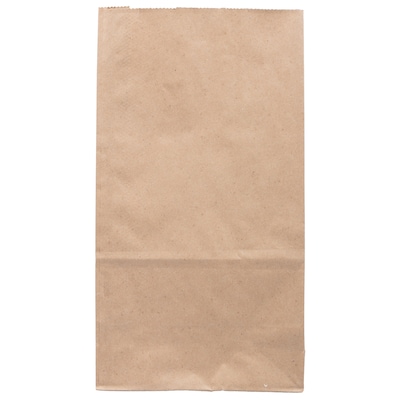 JAM Paper Kraft Lunch Bags, 11 x 6 x 3.5, Brown, 25/Pack (692KRBR)