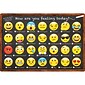 Ashley Productions Smart Poly Chart, 13" x 19", Emotions Icon How Are You Feeling (ASH91032)