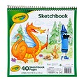 Crayola 9 x 9 Sketch Book, 40 Sheets/Book (99-3404)