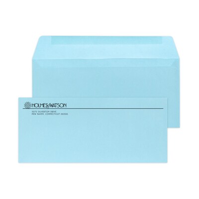 Custom #9 Standard Envelopes, 3 7/8 x 8 7/8, 24# Blue Wove, 1 Standard Ink, 250 / Pack