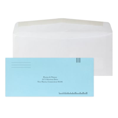 Custom Inserted Envelope Pack, #10 Window Envelope and #9 Barcode Blue Reply Envelope, 1 Standard In