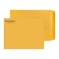 Custom 9 x 12 Standard Catalog Envelopes, 28# Brown Kraft, 1 Standard Ink, 250 / Pack